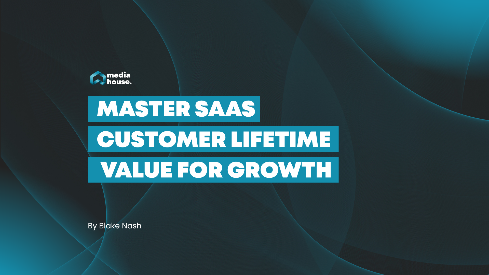 Master SaaS customer lifetime value for growth